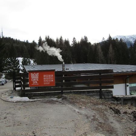 Chalet Vicino A Cortina Villa Borca di Cadore Exterior photo